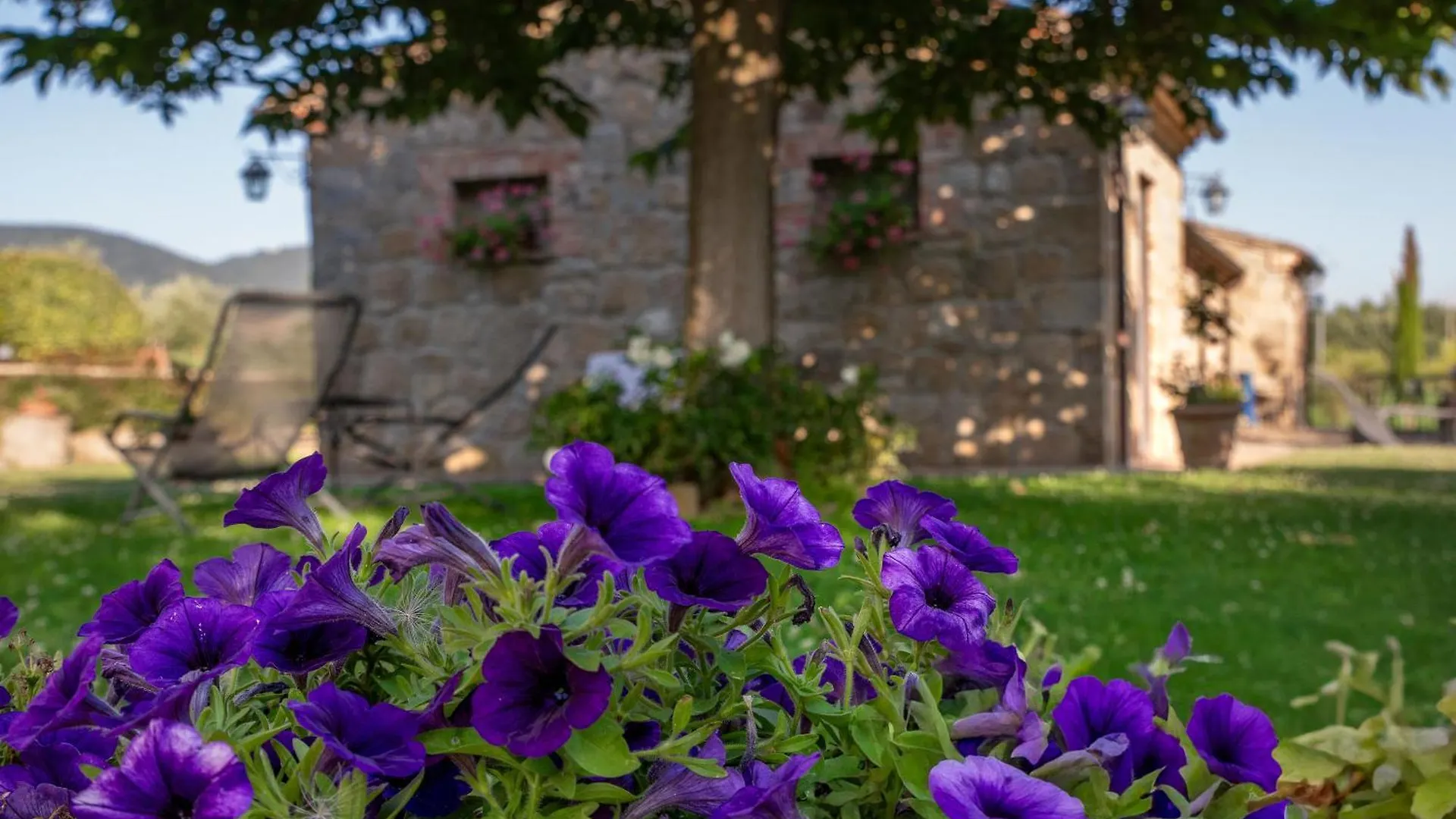 Agriturismo Palazzi Del Papa Pienza Bauernhof