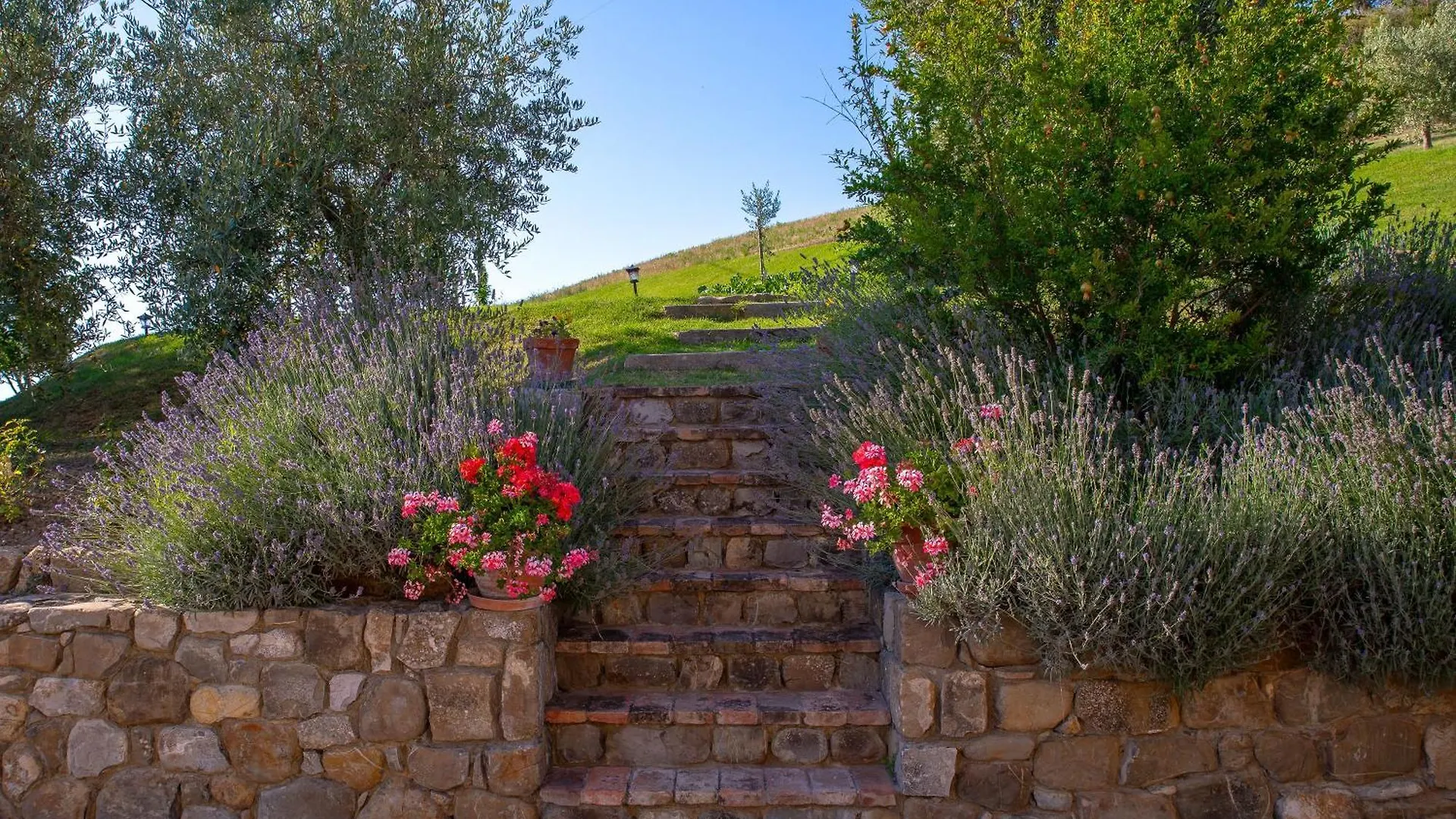 Alloggio per agriturismo Agriturismo Palazzi Del Papa Pienza